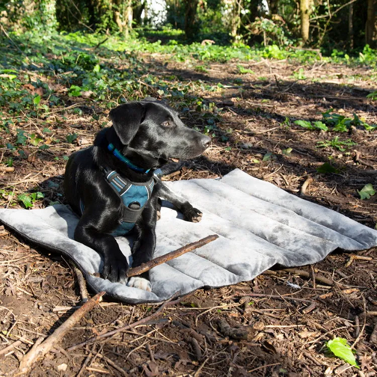 Scruffs Expedition Roll Up Travel Dog Bed - Black-Grey-Khaki Green